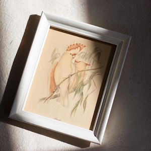Pair of Vintage Framed Tropical Bird Prints