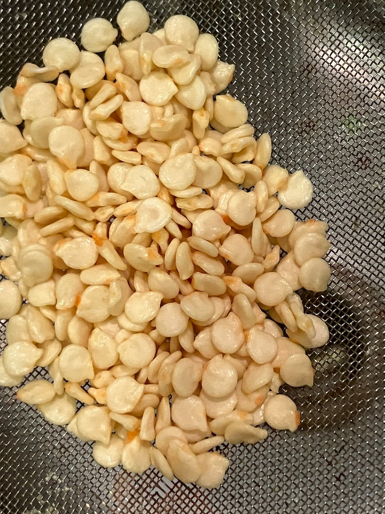 May include: A close-up shot of a pile of off-white pepper seeds. The seeds are small, flat, and oval-shaped, with a slightly translucent appearance. They are resting in a fine mesh strainer, which is partially visible in the background.