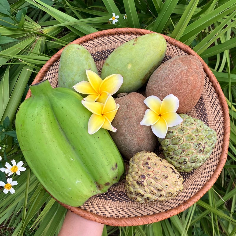 Tropical Exotic Fruit Box Etsy tropical-exotic-fruit-box-etsy
