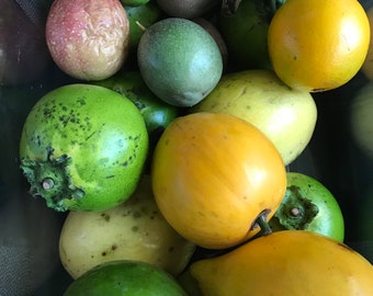 Assorted Tropical Fruit -- IN SEASON