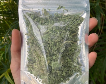 Cuban Oregano (Kadpooravalli) Leaves -- Freeze Dried -- FLORIDA-GROWN