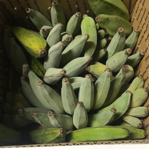 Bananas Assorted Fresh Tropical Fruit IN SEASON image 3