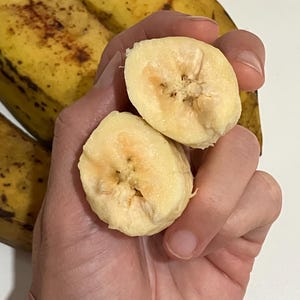 Orinoco Banana Fruits --  IN SEASON
