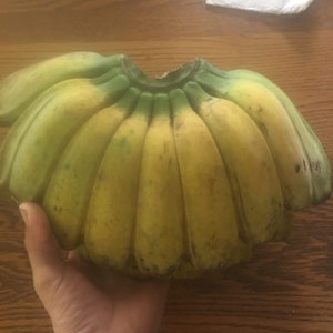 Bananas Assorted Fresh Tropical Fruit IN SEASON image 9