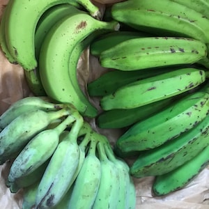 Bananas Assorted Fresh Tropical Fruit IN SEASON image 2