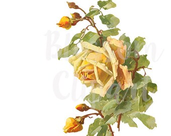 Vintage Yellow Rose Clip Art Vintage Rose for Invitations, Collage, Scrapbooking, prints  - 1458