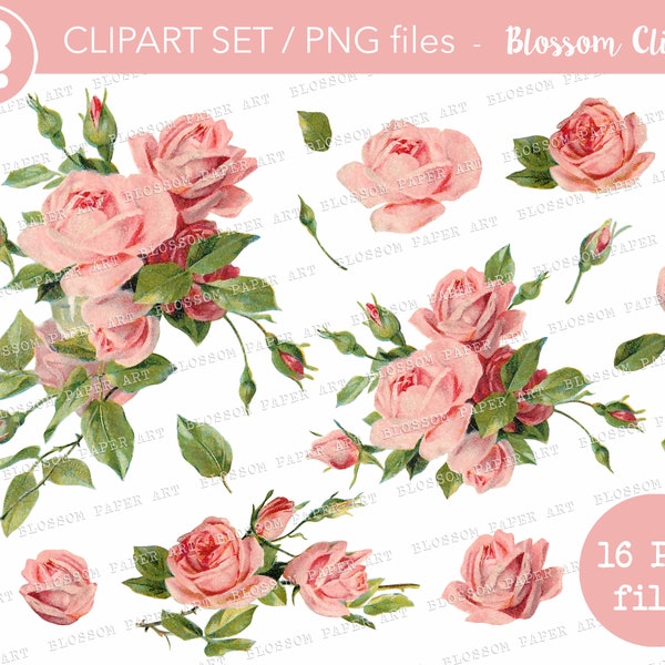 Vintage Rose Clipart Set, Pink Floral Transparent Background Flowers, PNG Rose Digital Floral Clipart, Instant Download Graphics - 2897