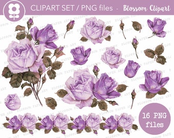 paarse rozen clipart, vintage PNG rozen, bloemenelementen, transparante achtergrondafbeeldingen, vintage rozen PNG, digitale rozen clipart - 2943