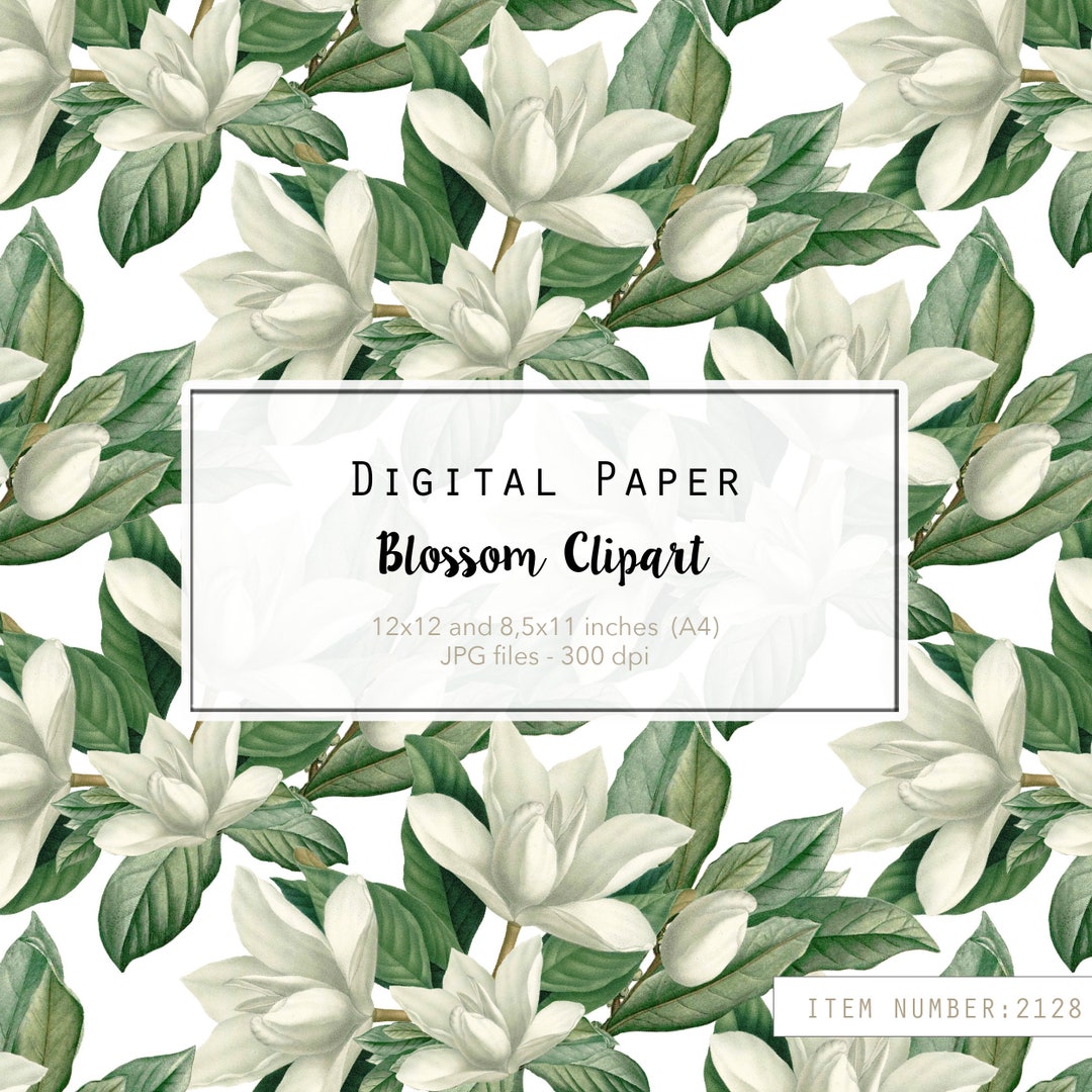 Magnolia Digital Paper White Flower Digital Paper for - Etsy