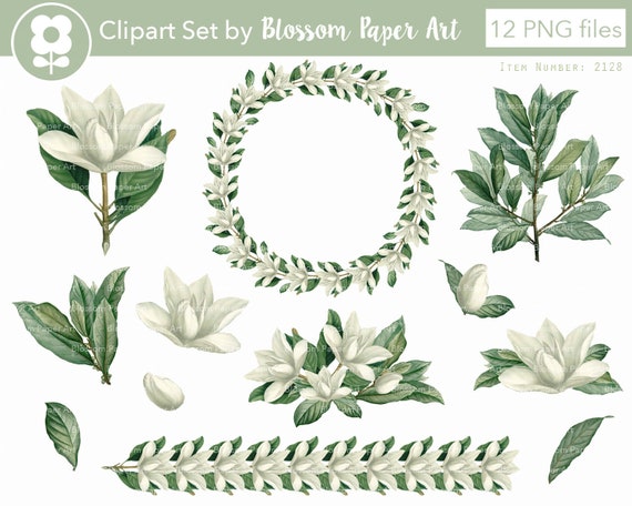 Magnolia Clipart para invitaciones de boda flores vintage - Etsy España Magnolia Clipart para invitaciones de boda flores vintage - Etsy España