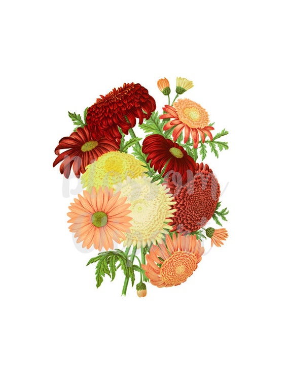 vintage floral bouquet clipart png flower for invitations etsy