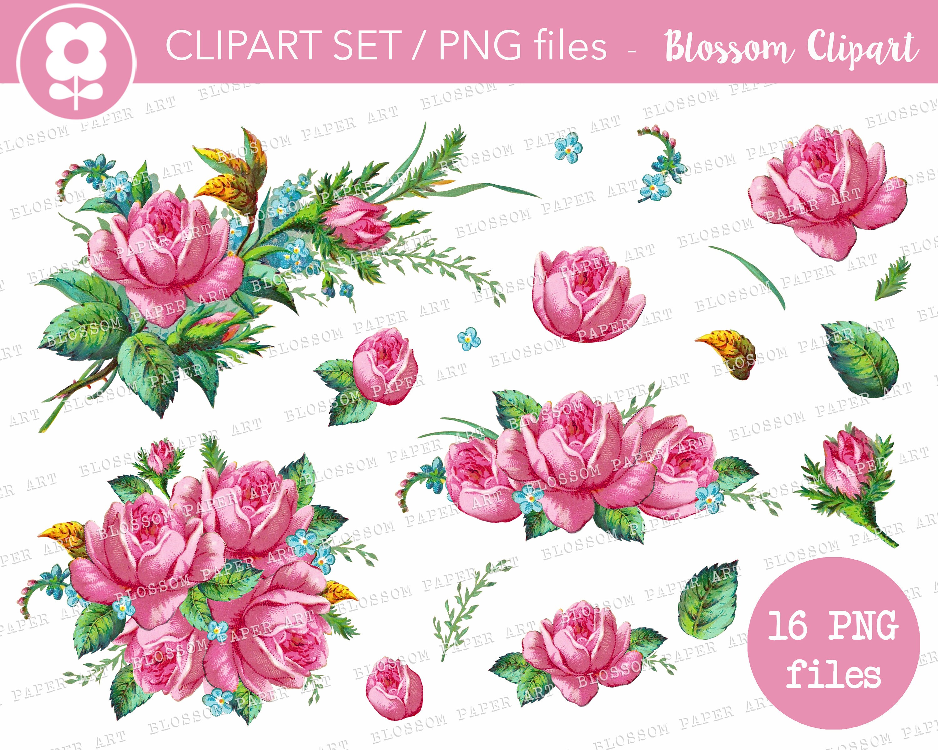 Rose Clipart Set Vintage Floral PNG Digital Roses Clipart | Etsy