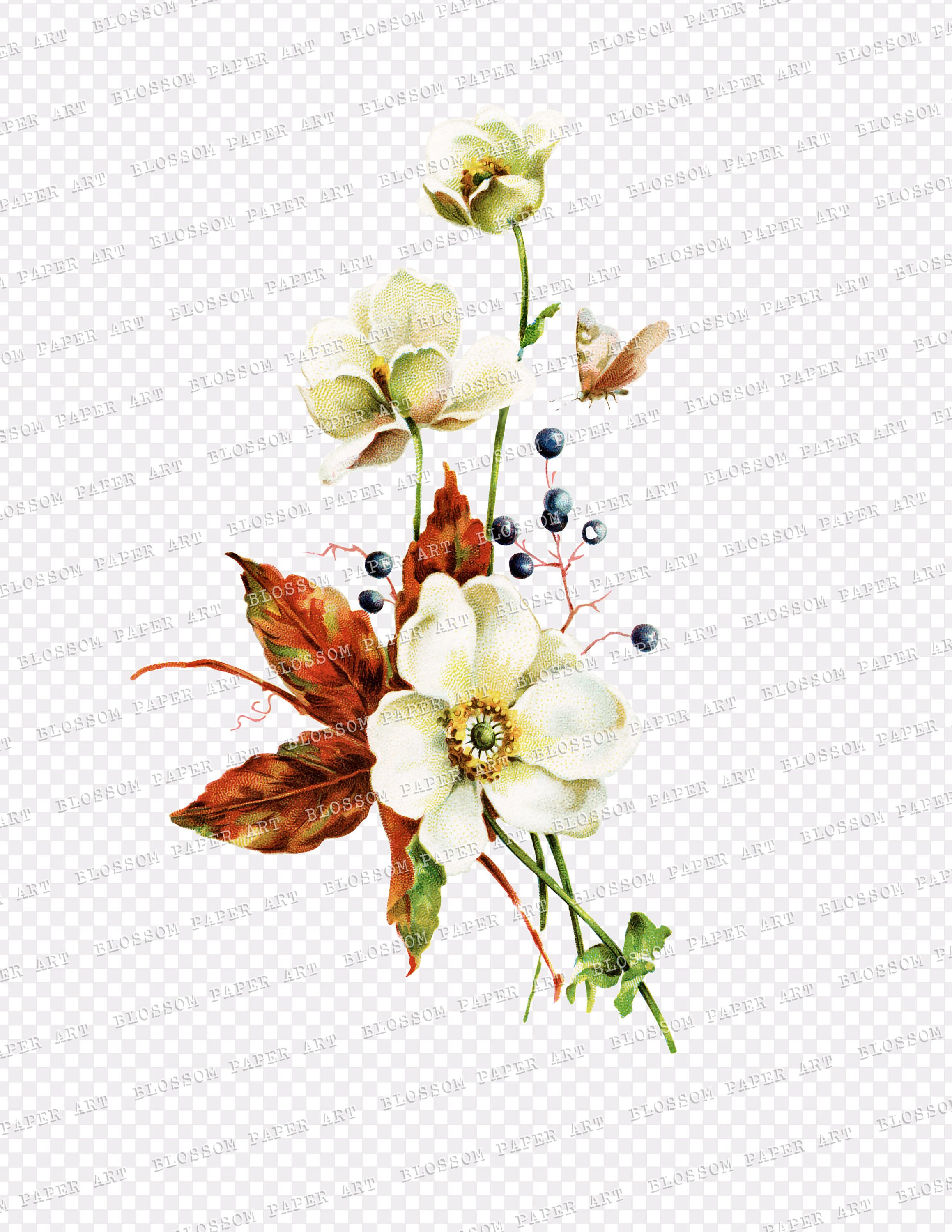 Vintage Flower Clipart Set Transparent Background Flowers | Etsy