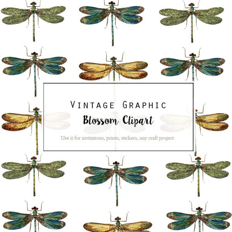 Dragonfly Print Clipart Vintage PNG for Digital Artwork | Etsy