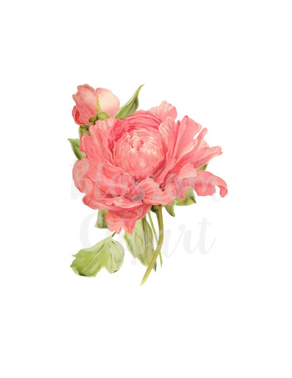 Instant Download Flowers and Leaves Digital Collage Sheet Clip Art Wedding