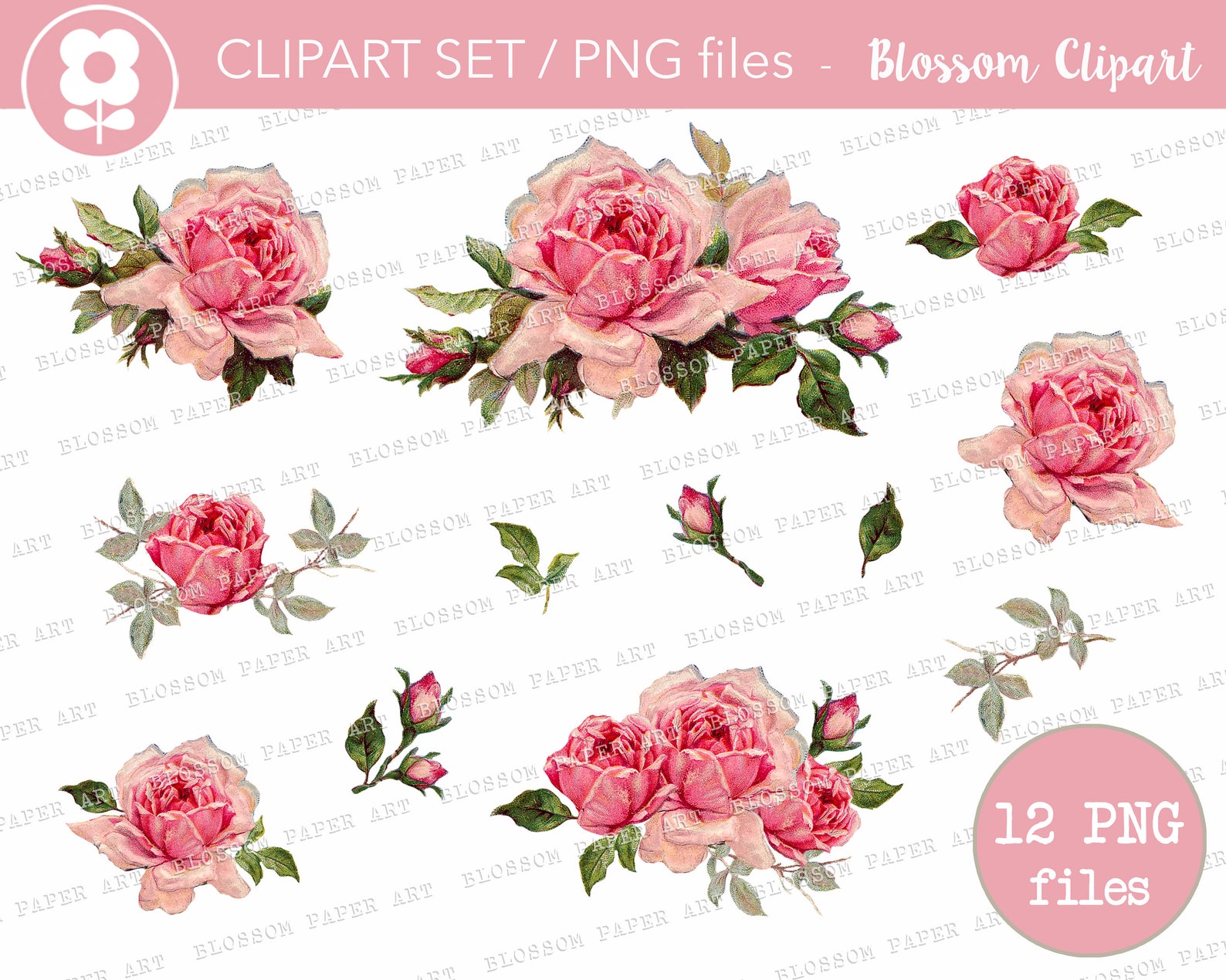 Pink Rose Clipart Set Vintage Graphic PNG Digital Roses - Etsy