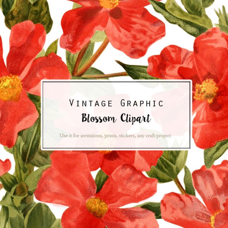 Vintage Flower Clip art scrapbook collage prints Digital Download Flower Botanical Clip Art for Invitations Card making 2297