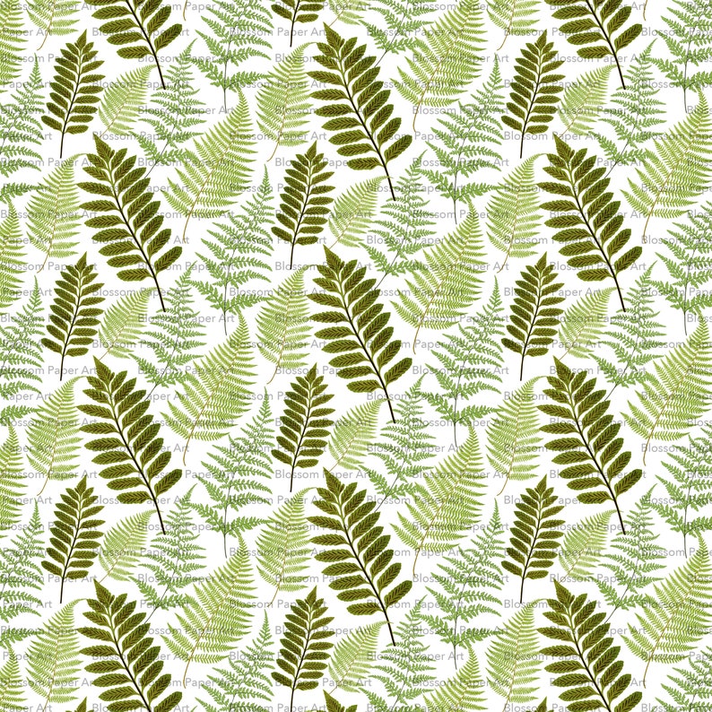 Leaves Digital Paper Fern Digital Paper for Scrapbooking | Etsy