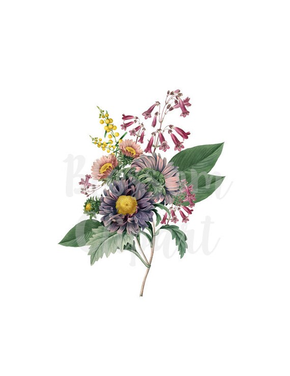 Vintage Flower Clip art scrapbook collage prints Digital Download Flower Botanical Clip Art for Invitations Card making 2297