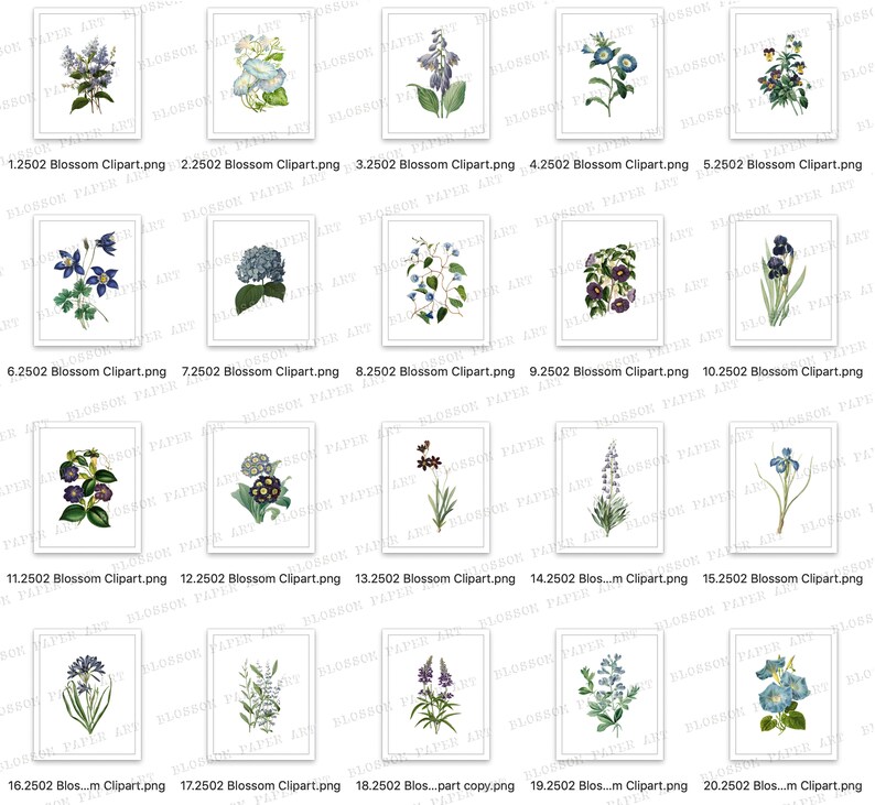 Blue Flower Clipart Collection Vintage Flowers Clipart Bundle Png Illustrations Digital Download Digital Graphic Transparent Background 2502 Clip Art Art Collectibles Kromasol Com Blue Flower Clipart Collection Vintage Flowers Clipart Bundle Png Illustrations Digital Download Digital Graphic Transparent Background 2502 Clip Art Art Collectibles Kromasol Com