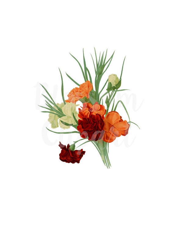 vintage flower clip art carnation flower for etsy