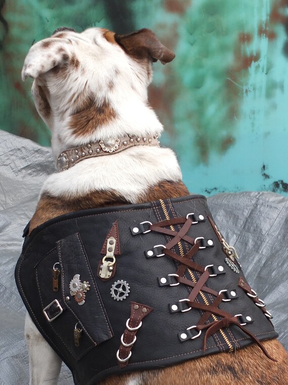 leather dog vest