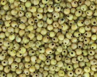 Miyuki Drop Beads 3.4mm, DP-4512, Picasso Canary, 10g