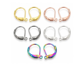 304 Stainless Steel Leverback Earring Wires with Loop, 5 Pairs, 5 Finishes, Earring Findings for Jewelry Making