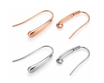 Monaco 6 Stainless Steel Ear Wires, Hidden Loop Earring Hooks, 304 Steel Earring Findings, 2 Pairs