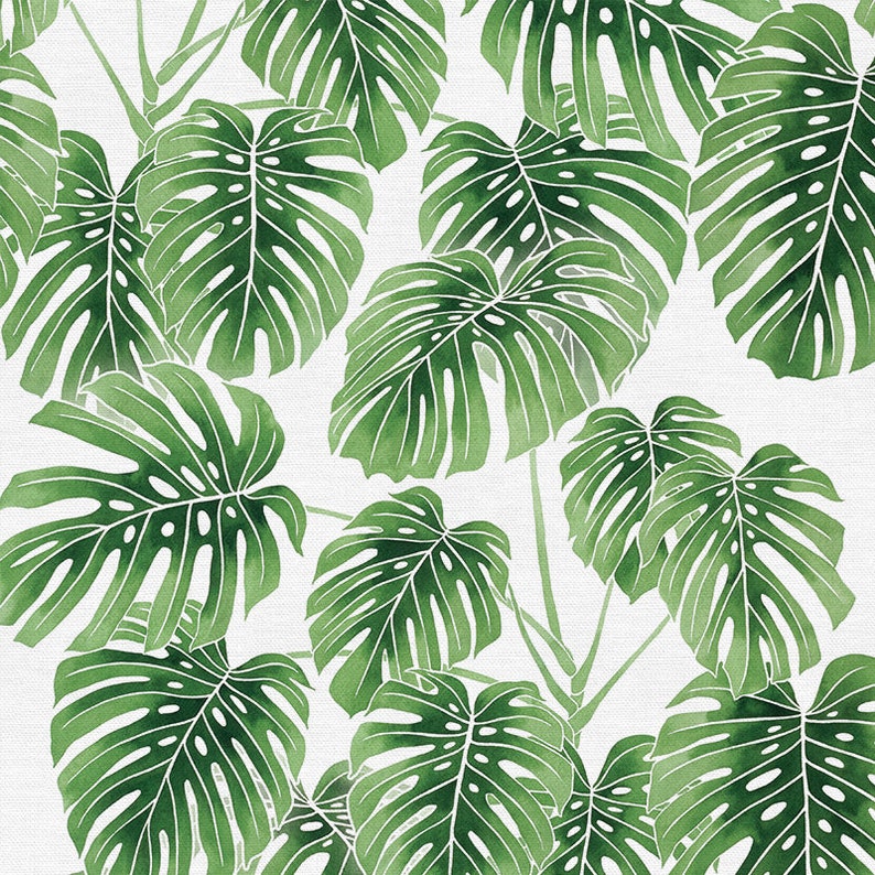 May include: A watercolor illustration of tropical monstera leaves on a white background. The leaves are green and have a textured appearance.