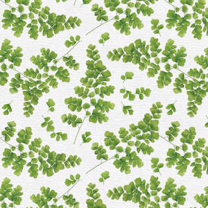May include: A seamless pattern featuring watercolor illustrations of green ferns on a white background. The ferns are arranged in a repeating pattern, creating a delicate and natural design.