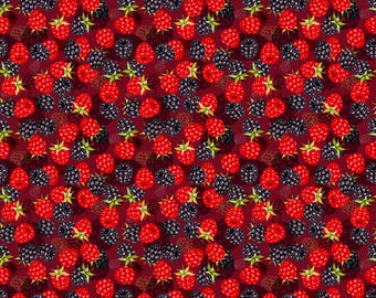 Tecido de algodão Homestead Harvest: Estampa de frutas e vegetais da PBS Fabrics