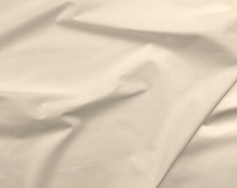 Painter&#39;s Palette Solids - 210 Colors - White, Beige, Neutral, Brown, Tan - Paintbrush Studio Fabrics