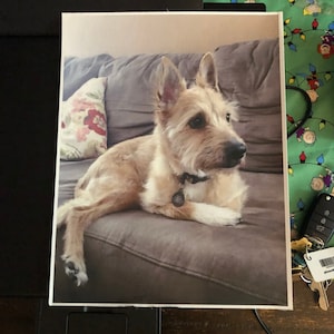 Any photo printed on cotton fabric