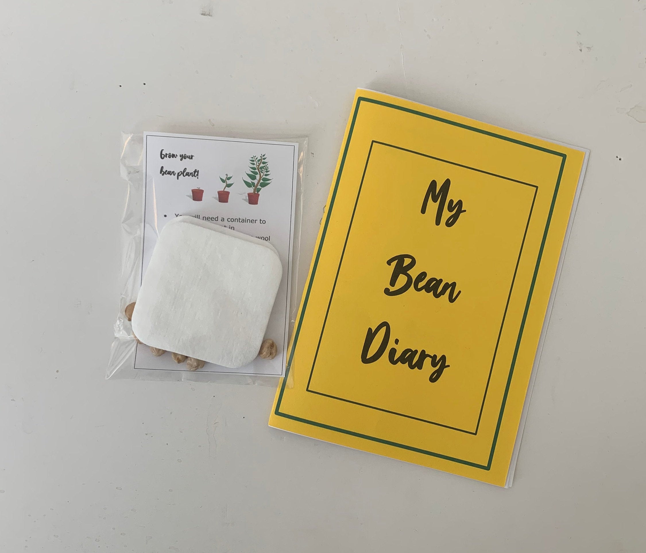 My Bean Diary, Planting Seeds, KS1 Science, Plants, Children, Home