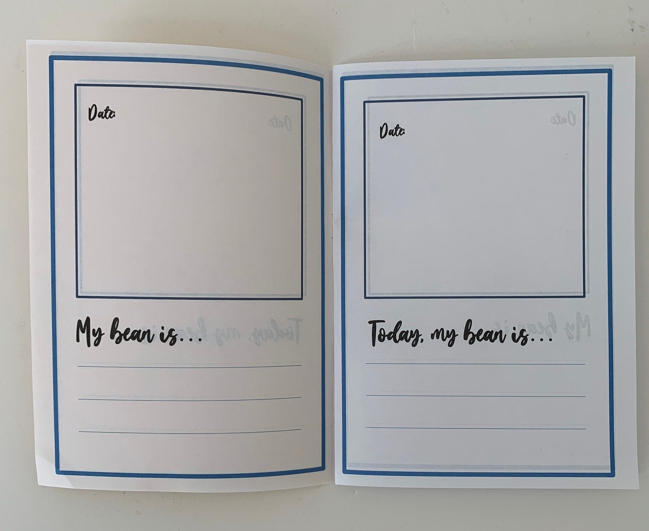 My Bean Diary, Planting Seeds, KS1 Science, Plants, Children, Home