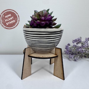 May include: A small, decorative plant in a black and white striped ceramic bowl, set on a wooden stand. The plant has purple and green leaves. The stand has the text "Mini Plant Stand" on a circular label.