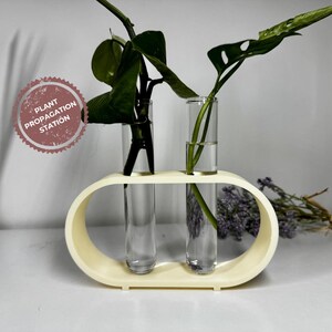 Puede incluir: Una estación de propagación de plantas de color crema con dos tubos de vidrio transparente que contienen plantas de hojas verdes. La estación tiene un diseño ovalado y el texto "PLANT PROPAGATION STATION" es visible en una pegatina circular.