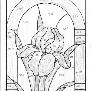 Iris Stained Glass Pattern Digital Download, Floral Stained Glass Pattern, Iris stained glass design, Iris with arch top border pattern