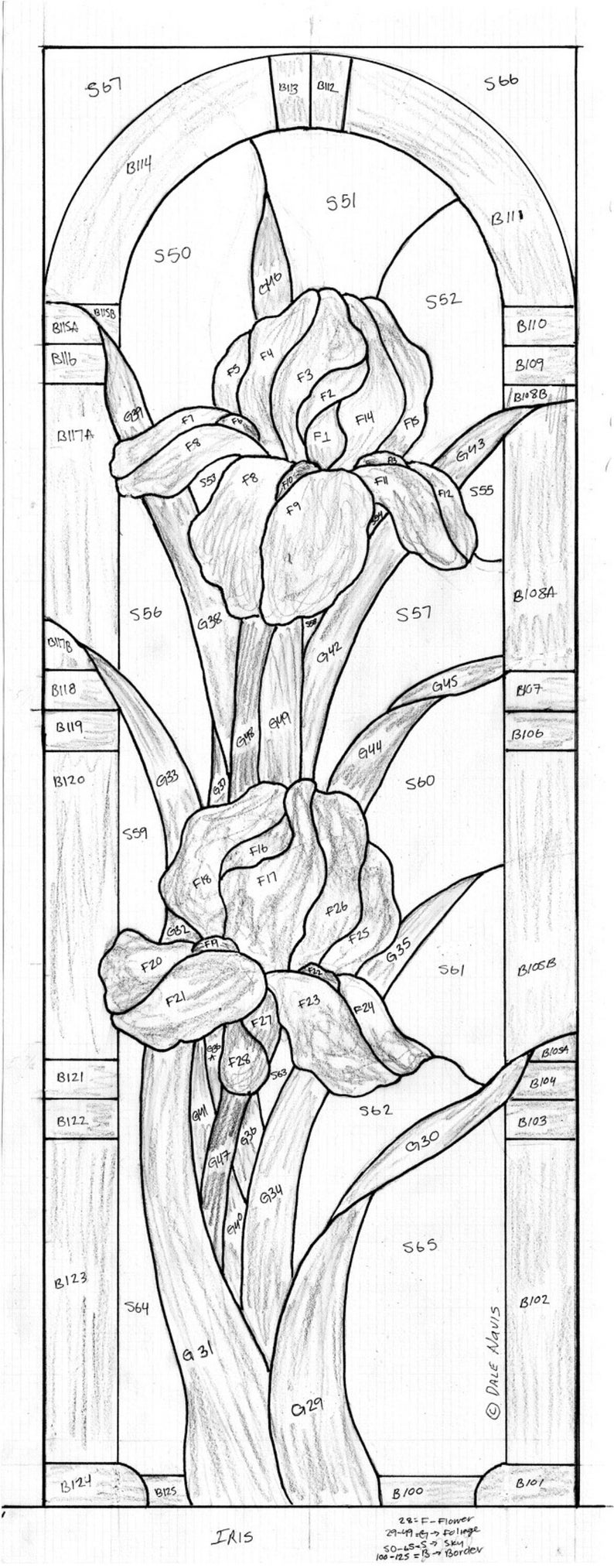 May include: A black and white line drawing of a stained glass window design featuring an iris flower. The design is labeled with numbers and letters, indicating different sections of the window.