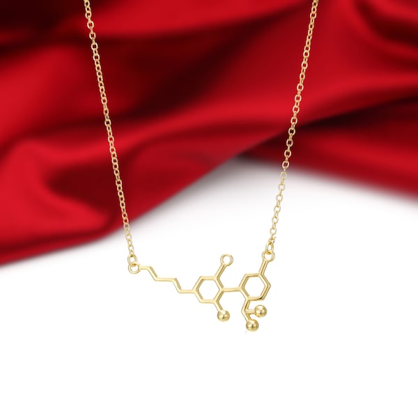 18k Gold Finished Sterling Silver CBD Molecule Pendant Necklace+Science Jewelry+Symbolic Jewelry Handmade in the USA