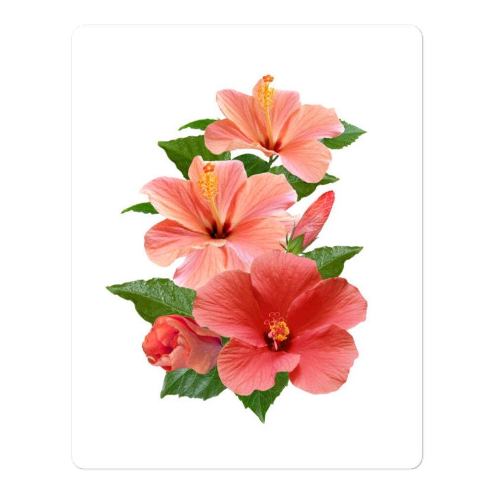 Floral Stickers Card making Scrapbooking Etsy