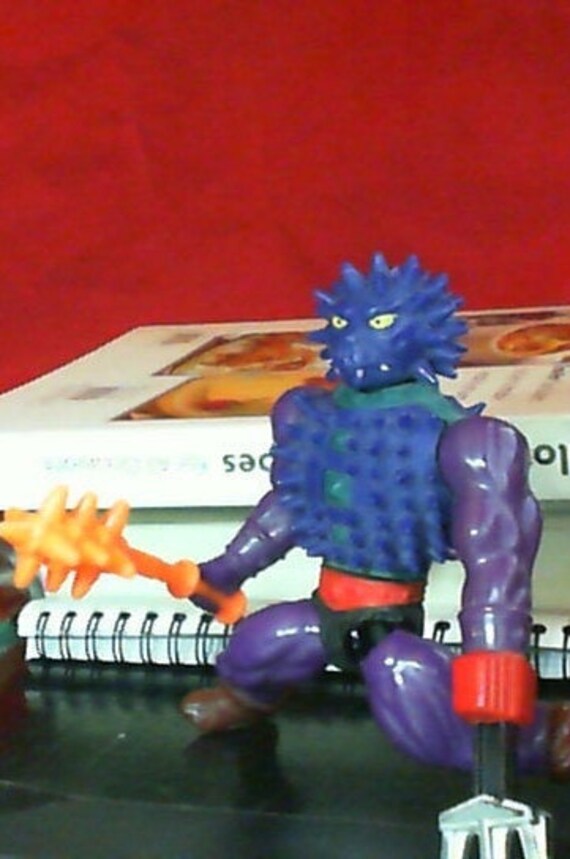 lady skeletor action figure