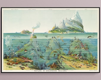 Nature in Descending Regions from an 1893 School Atlas, Historic Art Poster Print