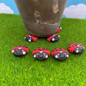 May include: Ladybug-shaped decorative accents with red shells and black spots, black bodies, and smiling faces. They are arranged on green artificial grass. The ladybugs are placed around a brown pot.