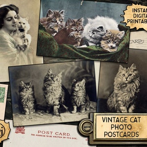 Vintage Cat Photo Postcards - Digital Download Printables