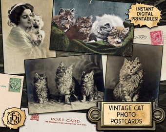 Vintage Cat Photo Postcards - Digital Download Printables