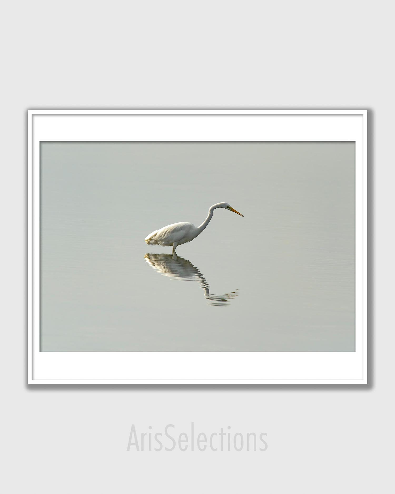 Great Egret Print White Heron Wall Art Photography Wetland Bird Modern Home Decor Large Poster Water