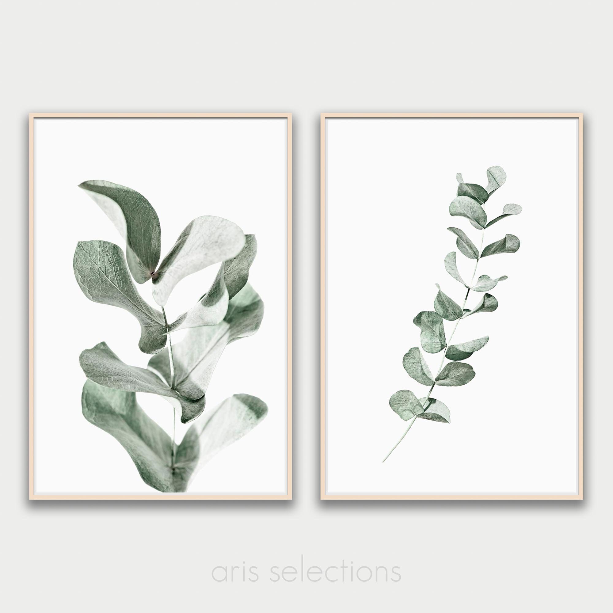 Set of 2 Prints Wall Art Set Eucalyptus Wall Art Eucalyptus Etsy
