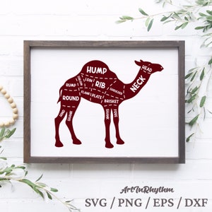 Butcher meat chart, Camel meat chart svg, Kitchen meat chart, Camel Meat cut guide, Kitchen wall decal, Kitchen wall decor, Meat shop svg image 1